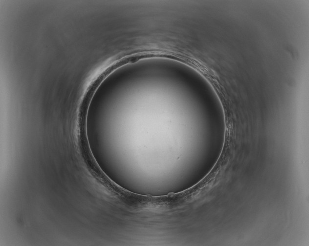 X0000114420248200910161234