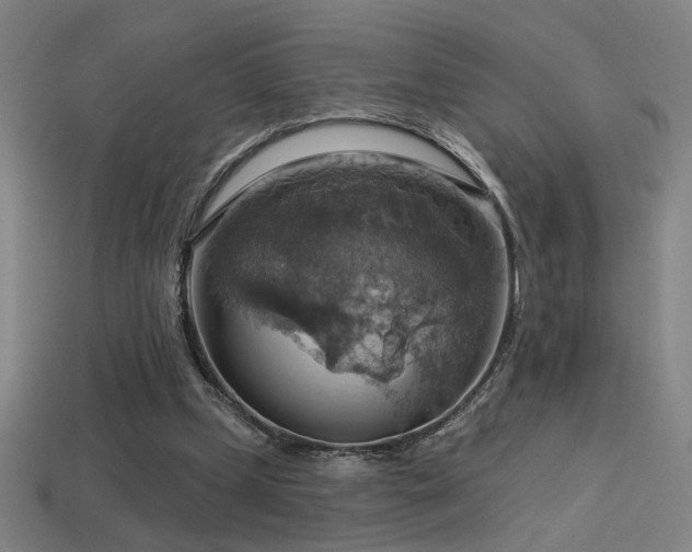 X0000114420249200910161234