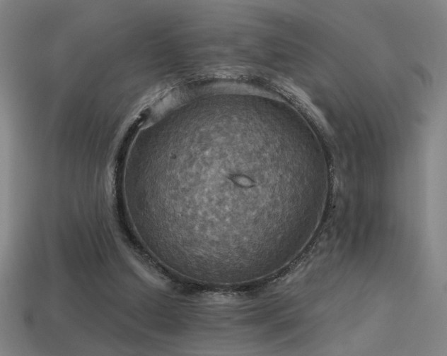 X0000114420250200910161234