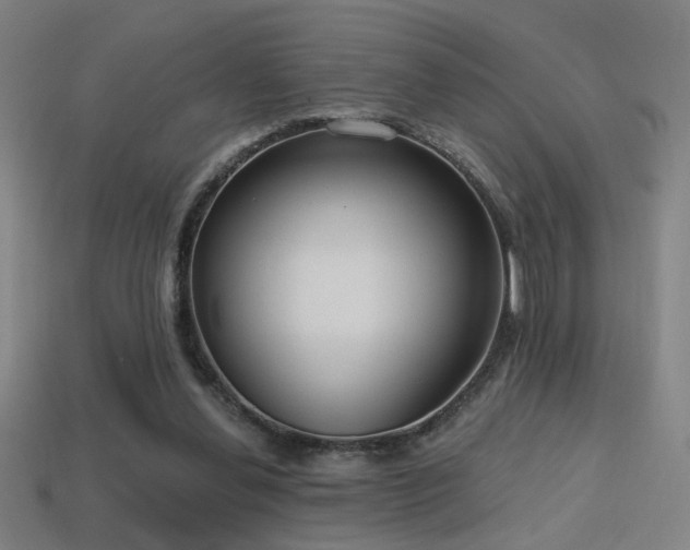X0000114420252200910161235