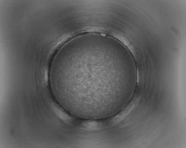 X0000114420253200910161235