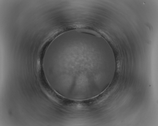 X0000114420254200910161235