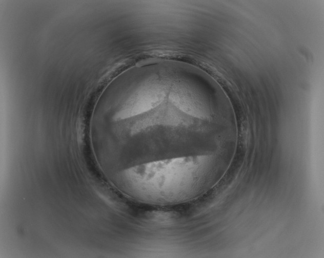 X0000114420255200910161235