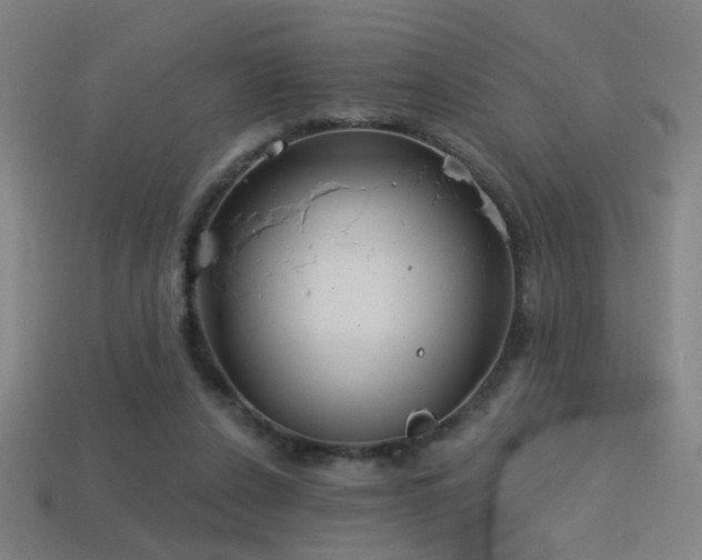 X0000114420256200910161235