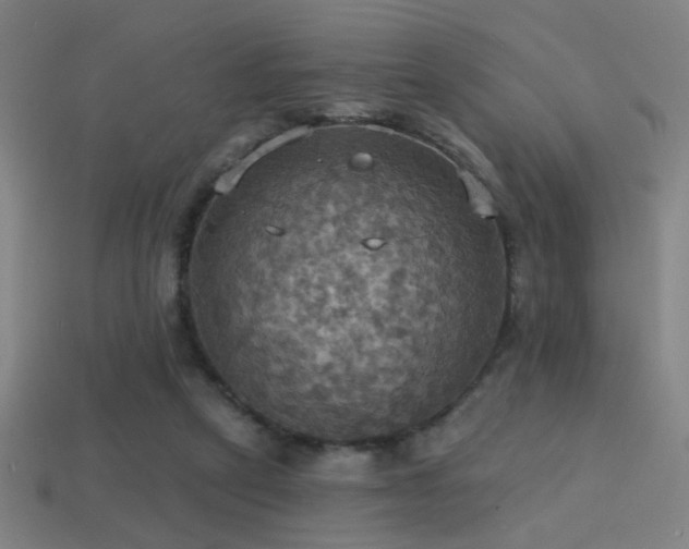 X0000114420257200910161235