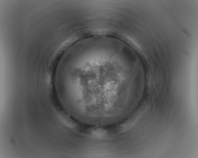 X0000114420258200910161235