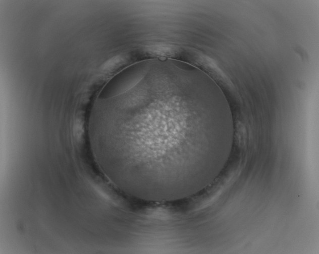 X0000114420259200910161235