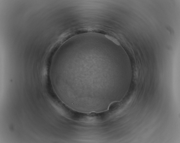 X0000114420260200910161235