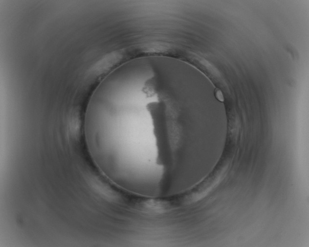 X0000114420261200910161235