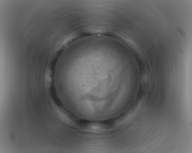 X0000114420264200910161235