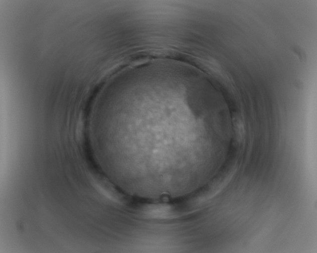 X0000114420266200910161235