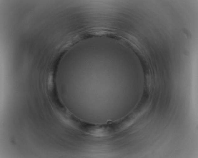X0000114420267200910161235