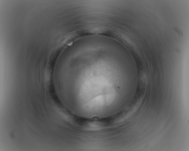 X0000114420268200910161235