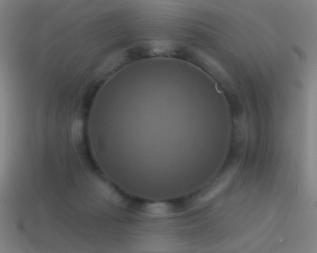 X0000114420269200910161235