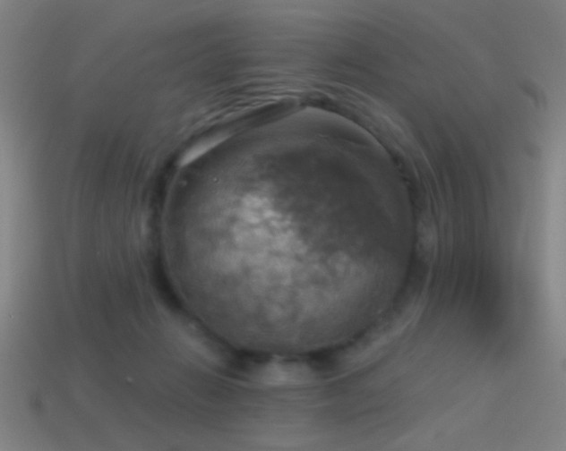 X0000114420270200910161235