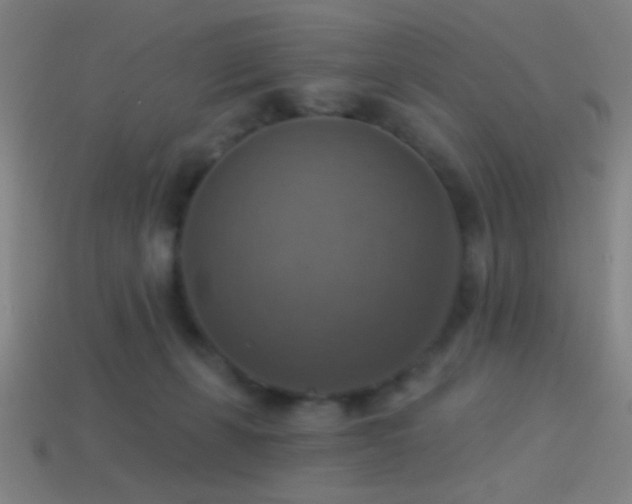 X0000114420271200910161235