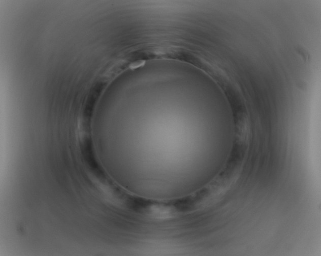 X0000114420272200910161235