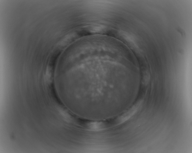 X0000114420273200910161235