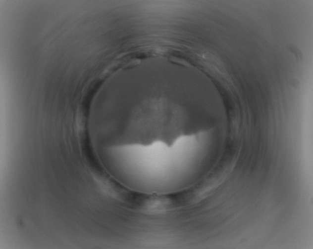 X0000114420274200910161235
