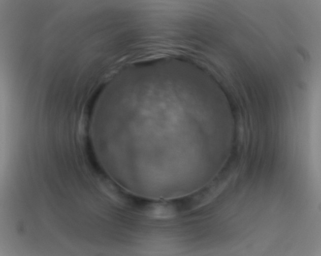 X0000114420275200910161235