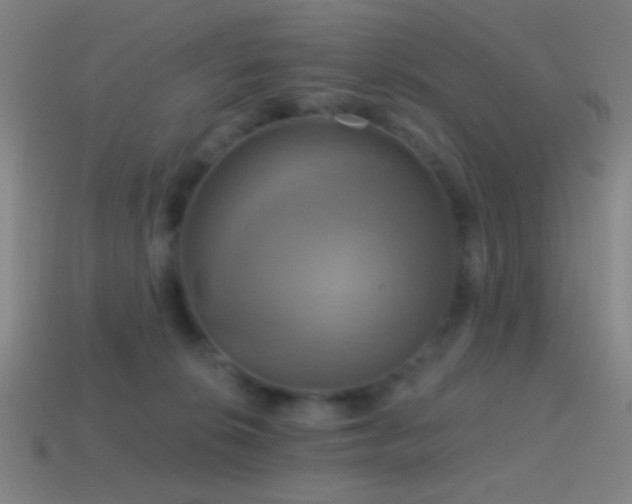 X0000114420276200910161235