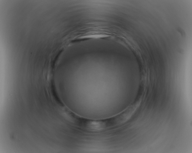 X0000114420277200910161235