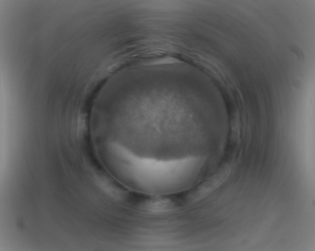 X0000114420278200910161235