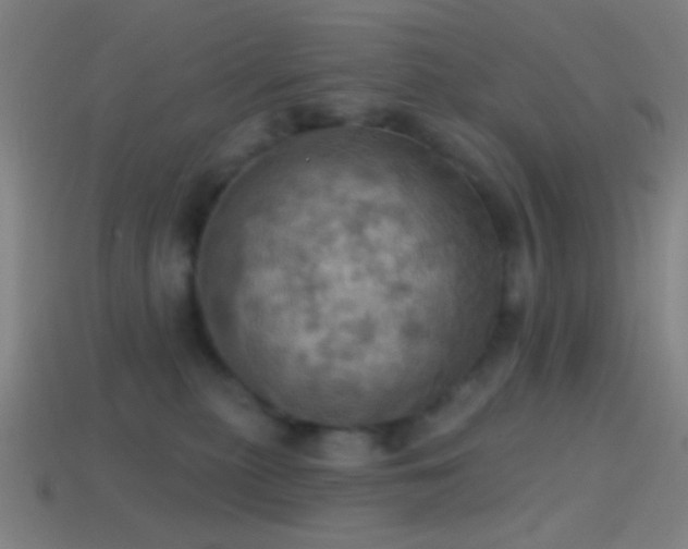 X0000114420279200910161235
