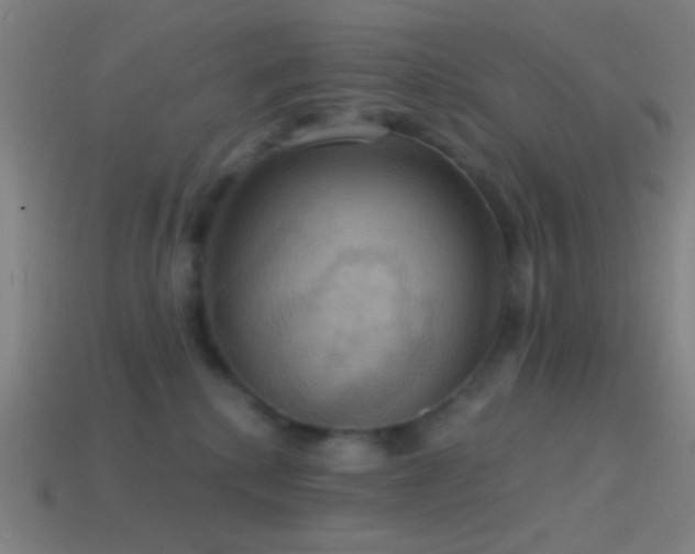 X0000114420280200910161235