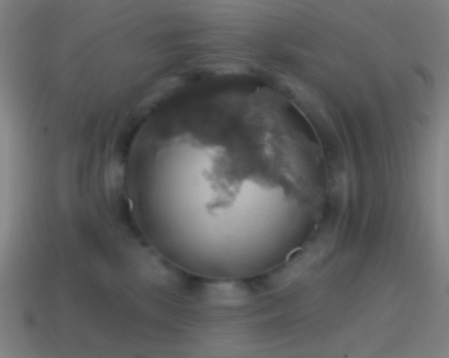 X0000114420281200910161235