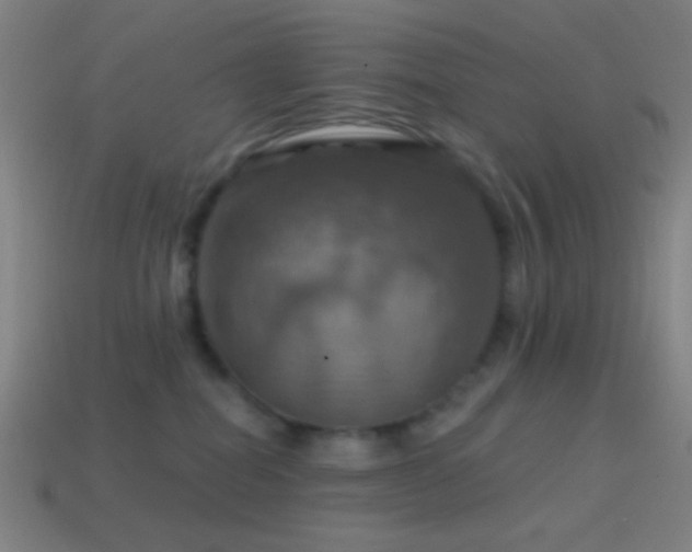 X0000114420282200910161235