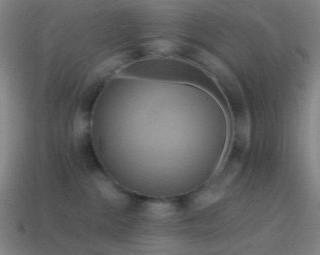 X0000114420284200910161235