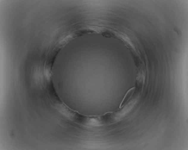 X0000114420285200910161235