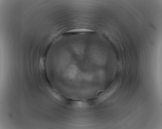 X0000114420286200910161235