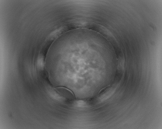 X0000114420287200910161235