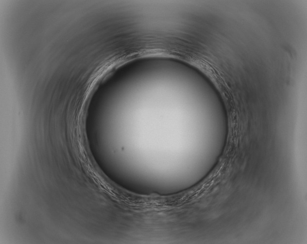 X0000114420289200910161234