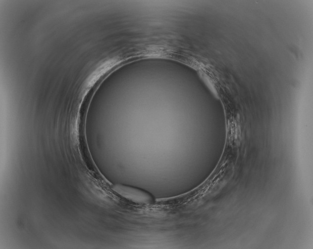 X0000114420292200910161234