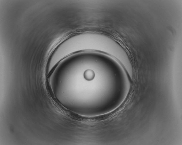 X0000114420293200910161234