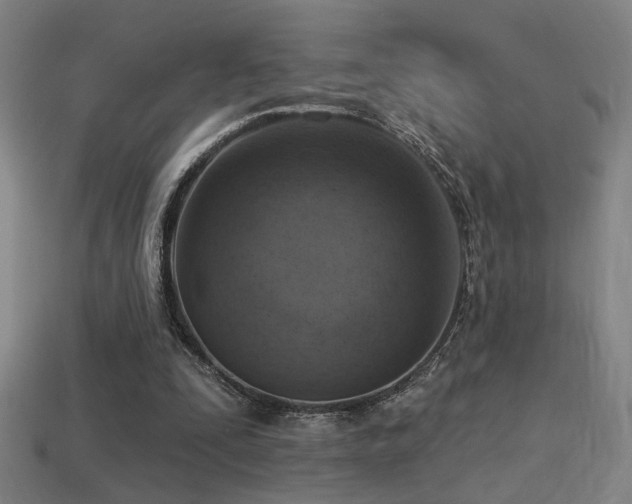 X0000114420295200910161234