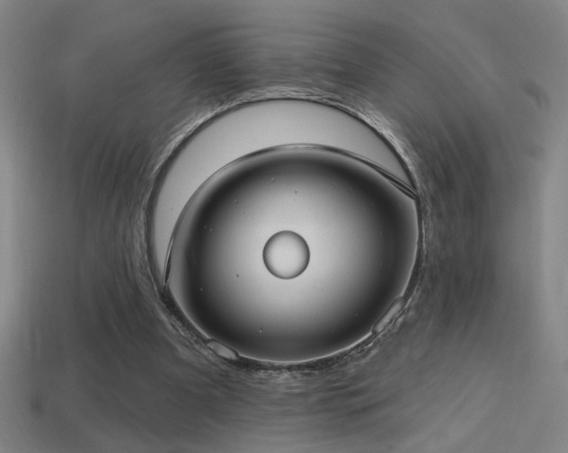 X0000114420297200910161234