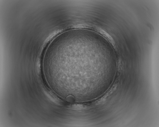 X0000114420298200910161234