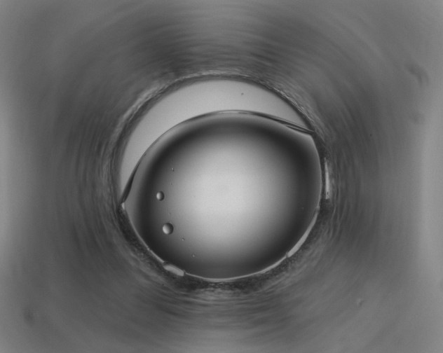 X0000114420300200910161234