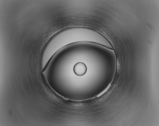 X0000114420301200910161234