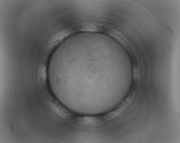X0000114420302200910161234