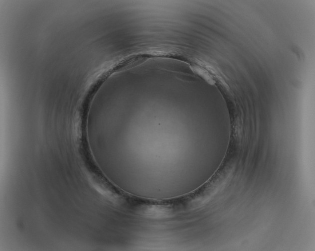 X0000114420303200910161234