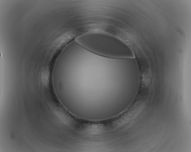 X0000114420304200910161234