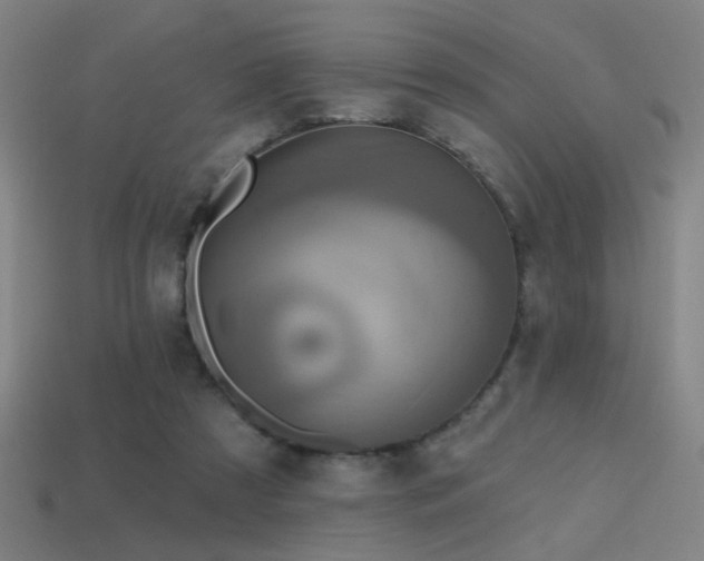 X0000114420305200910161234