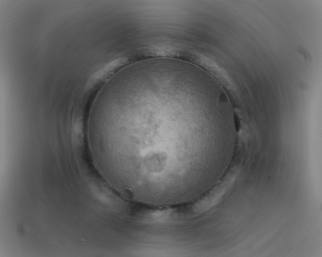 X0000114420306200910161234