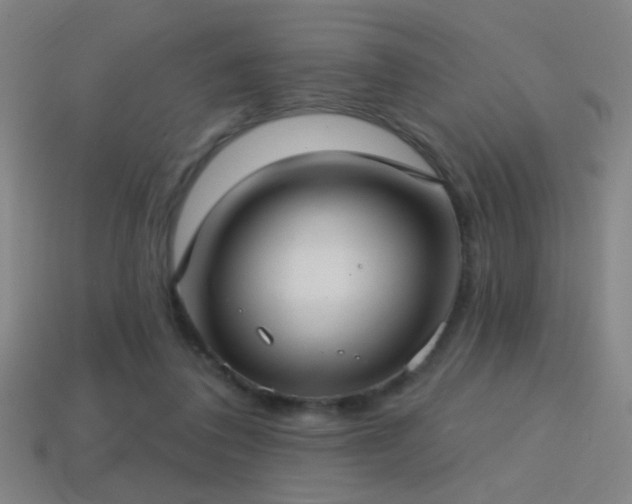 X0000114420308200910161234