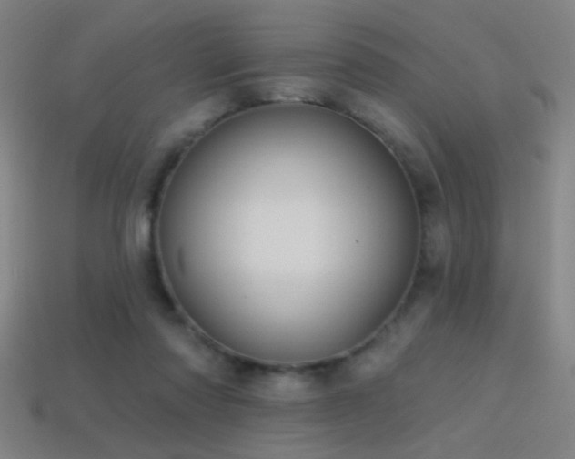 X0000114420310200910161234